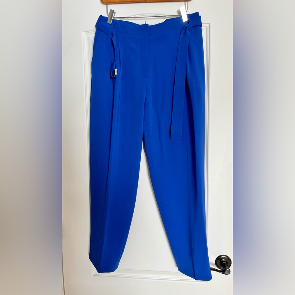 Hugo Boss pants , blue